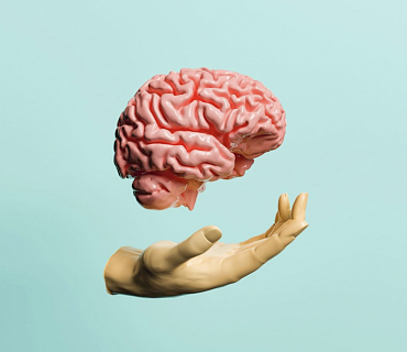 Центр нейроразвития мозга